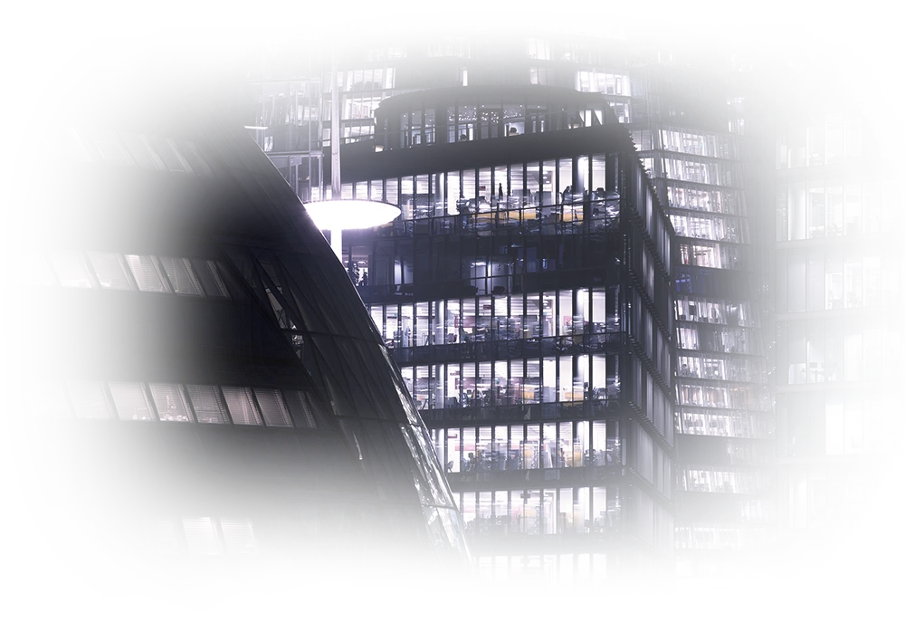 Descriptive text about the image