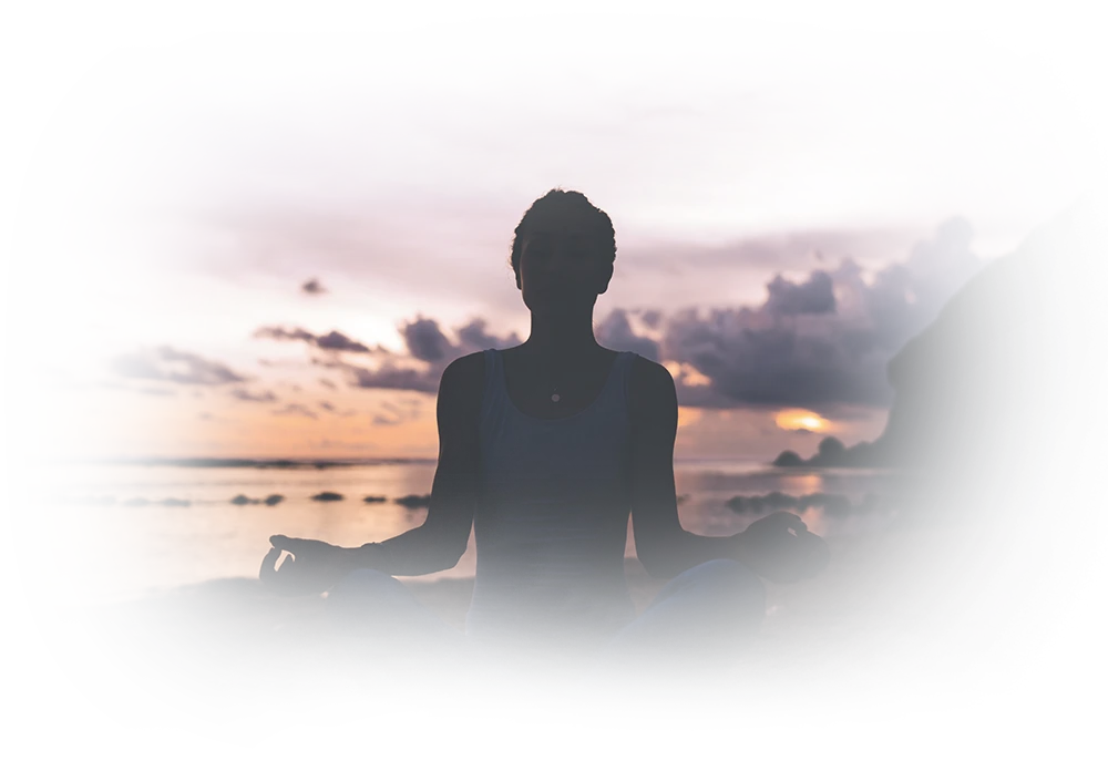 Descriptive text about the image