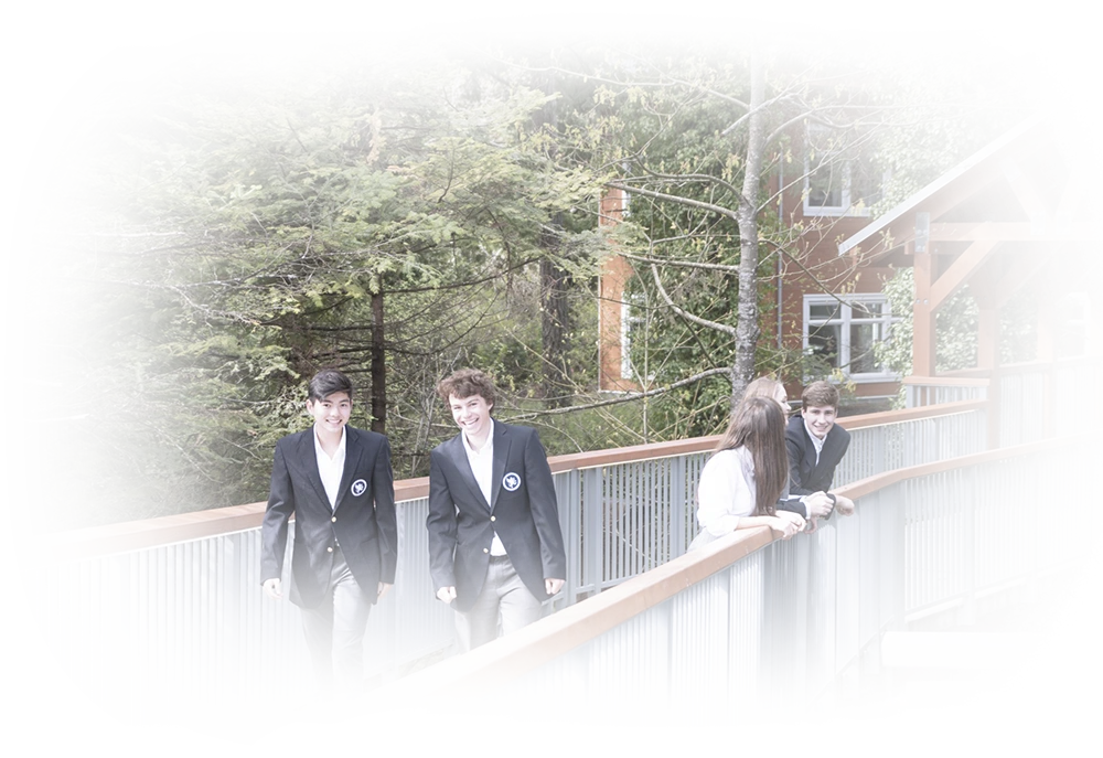 Descriptive text about the image