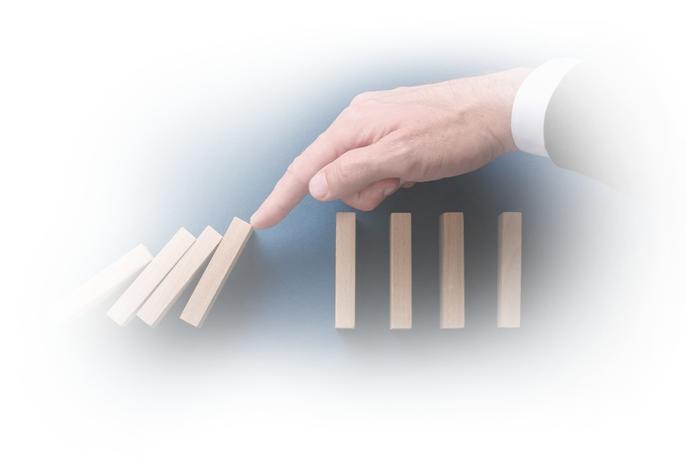 Descriptive text about the image