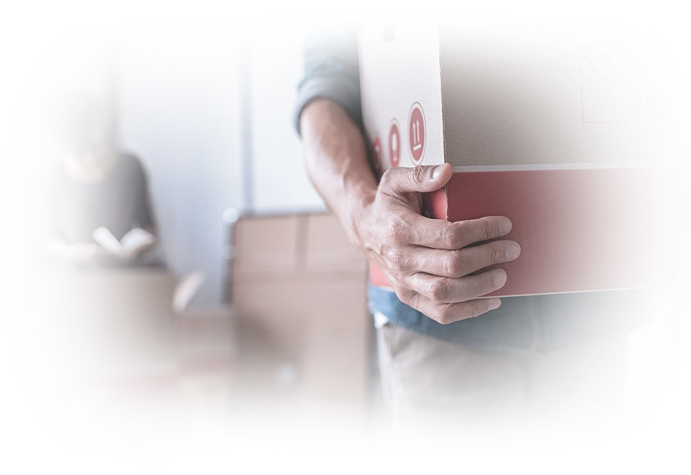 Descriptive text about the image